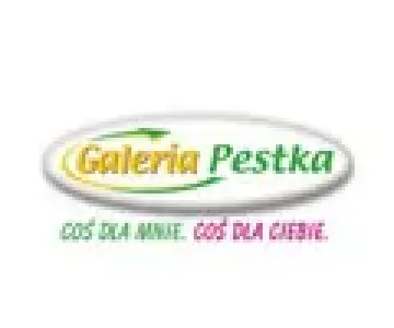 galeria pestka galeria pestka