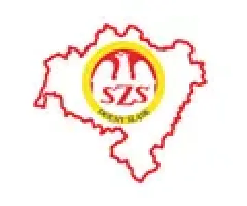 szkolny zwiazek sportowy szkolny zwiazek sportowy