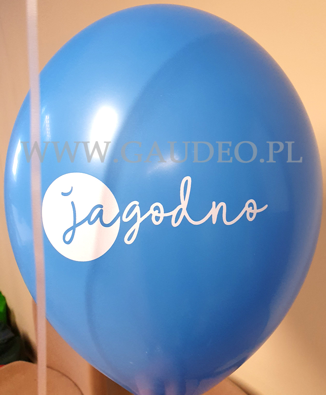 Balony z nadrukiem i helem jako atrakcja pikniku na Jagodnie we Wrocławiu