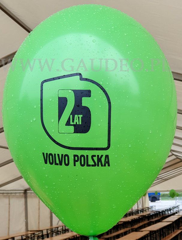Dekoracja balonowa na piknik rodzinny w Volvo