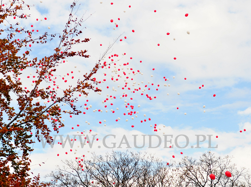 Wypuszczanie balonów w Świdnicy na wiecu patriotycznym