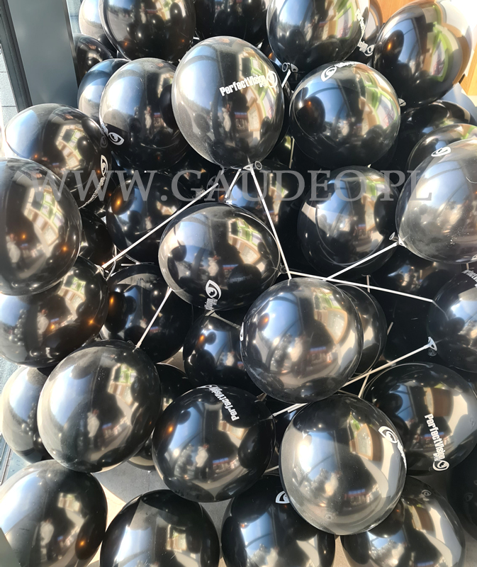 Organiczne kolumny balonowe na otwarcie salonu Optycznego w Lubinie