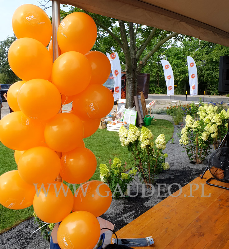 Warsztaty skręcania balonów na pikniku u dewelopera