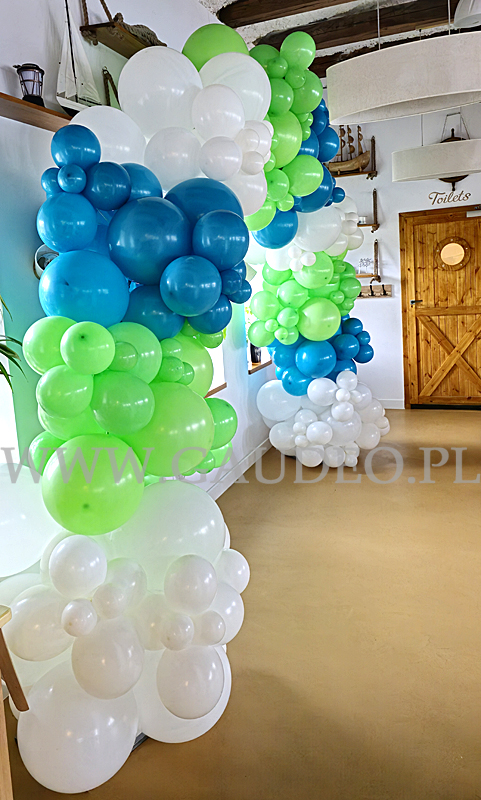 Organiczna brama balonowa w Marinie we Wrocławiu