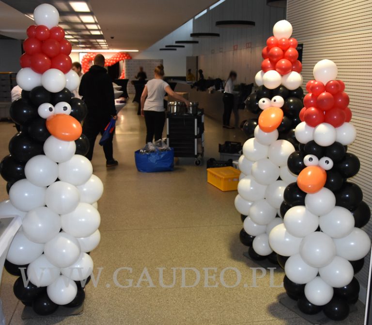 Dekoracje balonowe Gaudeo