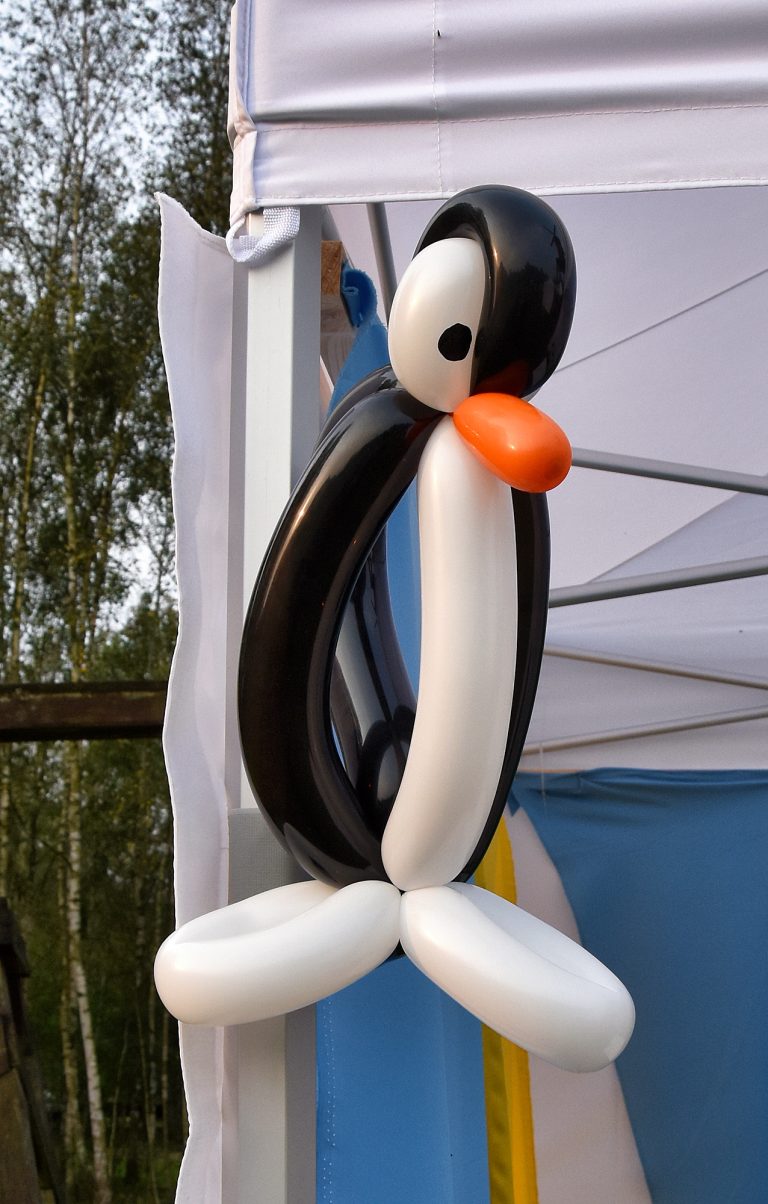 Balonowy pingwinek z podłużnych balonów