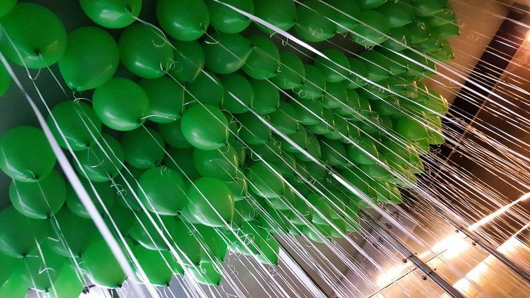 Balony z helem na akcji promocyjnej adopcji psów z wrocławskiego schroniska