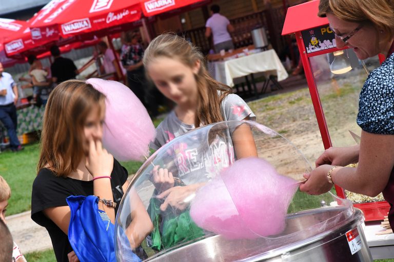 Różowa wata cukrowa na pikniku firmowym