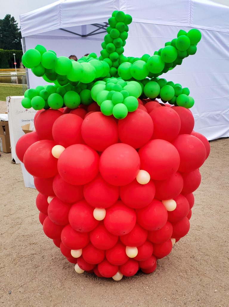 Malina z balonów na pergoli we Wrocławiu