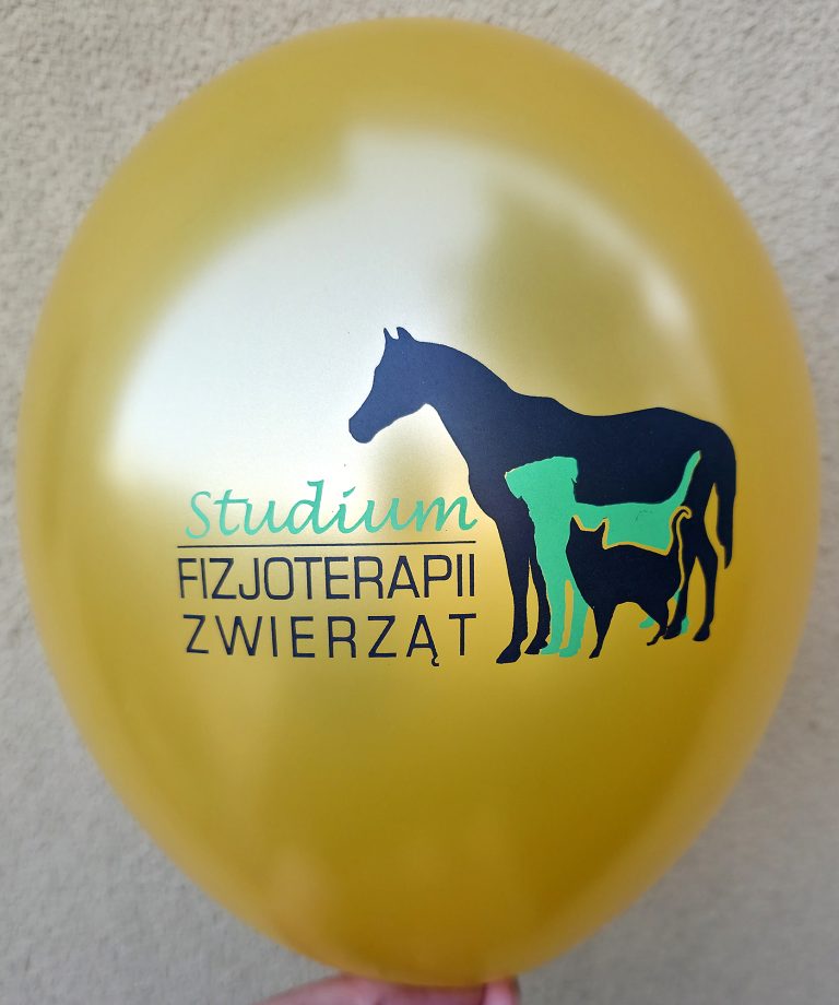 Złoty balon z dwukolorowym nadrukiem