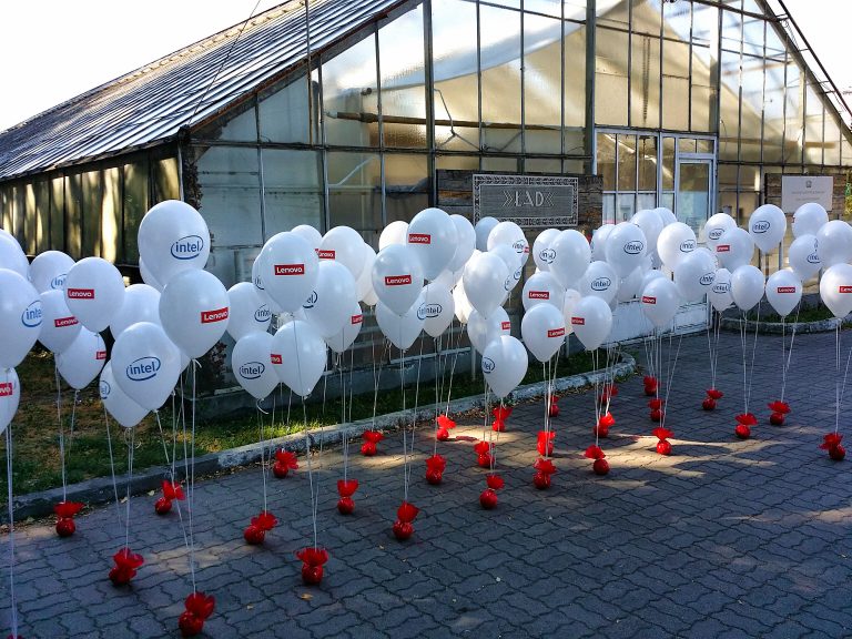 Stroiki z balonów gotowe do rozstawienia w warszawskich Łazienkach