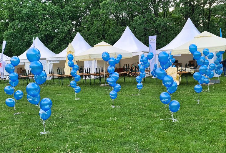 Balony z helem na pikniku na błoniach Stadionu Olimpijskiego