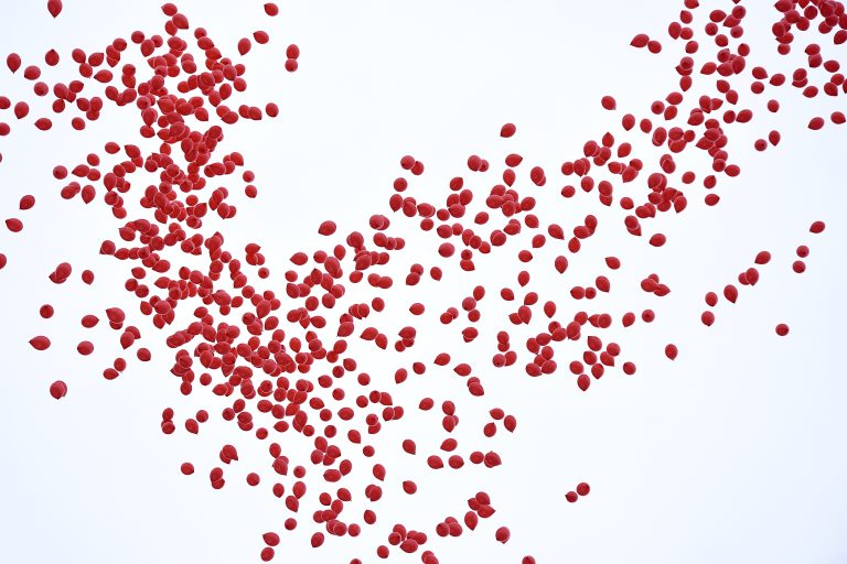 Wypuszczone balony z helem odlatują do nieba