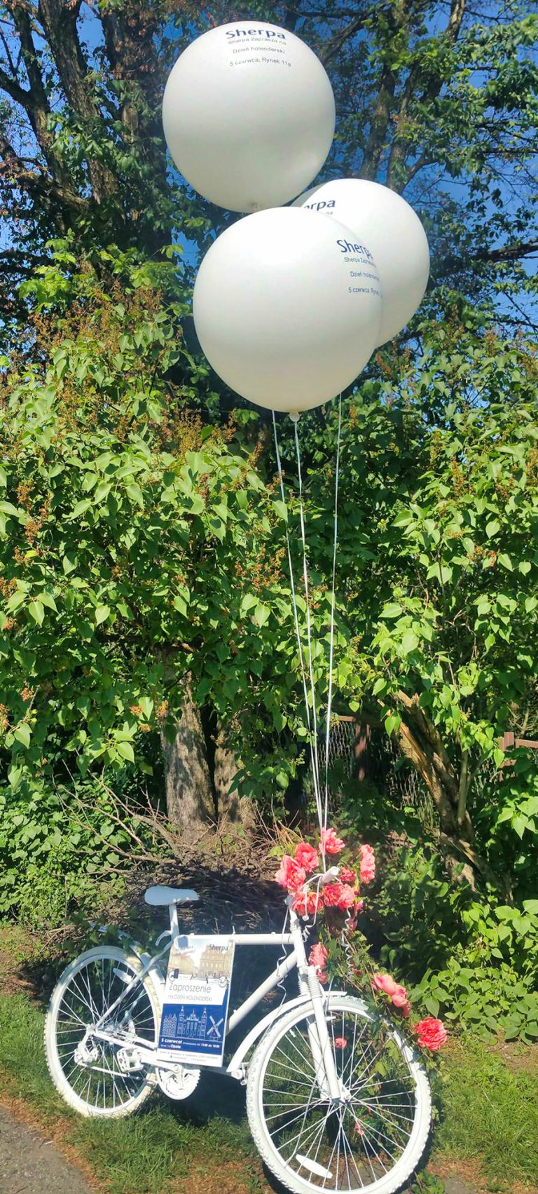 Aranżacja z balonami helowymi i rowerem