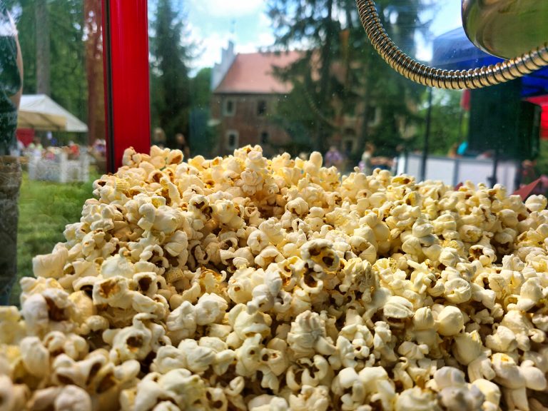 Prażony popcorn na piknik