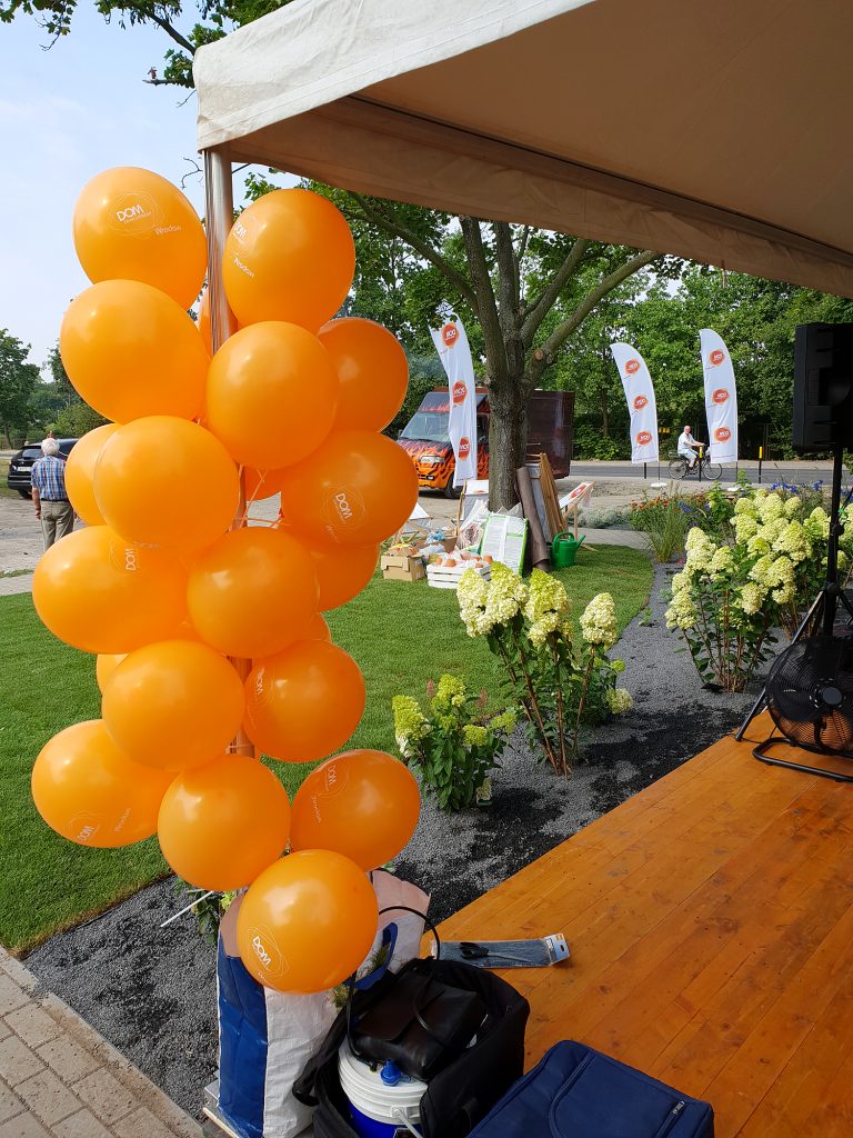 Balony na patyczkach ułożone na stojaku