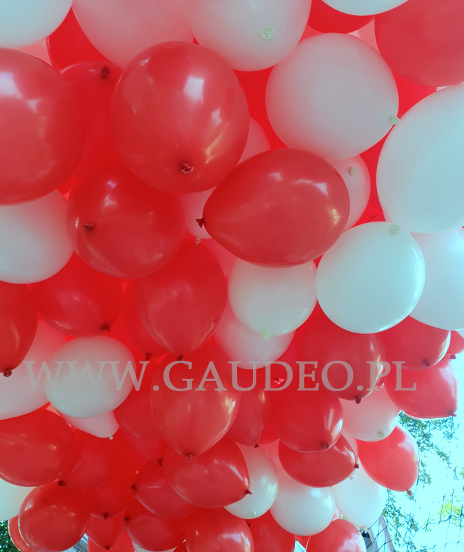 Wypuszczanie balonów z helem na otwarcie szkoły w Kuźniczysku